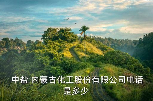  中鹽 內蒙古化工股份有限公司電話是多少
