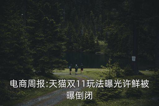 雙十一外媒對中國評價