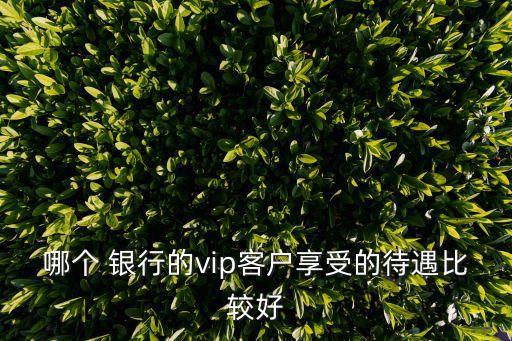 各大銀行貴賓服務(wù),哪個銀行貴賓服務(wù)最好