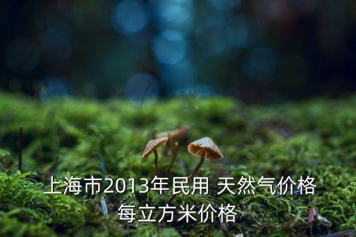  上海市2013年民用 天然氣價格每立方米價格