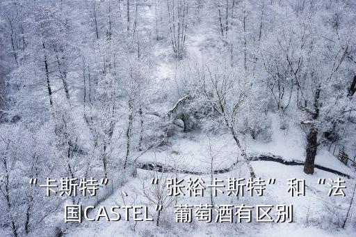 “卡斯特”、“ 張?？ㄋ固亍焙汀胺▏鳦ASTEL”葡萄酒有區(qū)別
