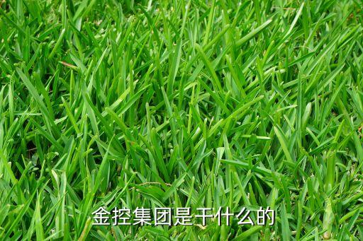  金控集團是干什么的