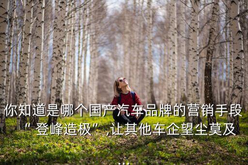 蕭山登峰集團