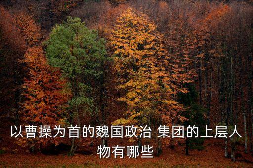 以曹操為首的魏國(guó)政治 集團(tuán)的上層人物有哪些