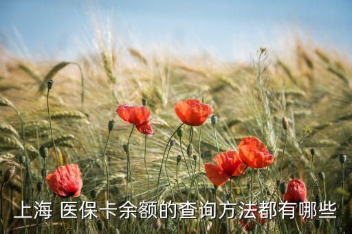 上海 醫(yī)?？ㄓ囝~的查詢方法都有哪些