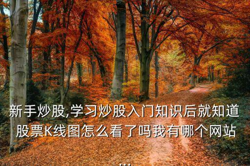 新手炒股,學(xué)習(xí)炒股入門知識(shí)后就知道 股票K線圖怎么看了嗎我有哪個(gè)網(wǎng)站...