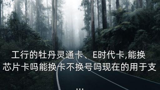 工行的牡丹靈通卡、E時(shí)代卡,能換 芯片卡嗎能換卡不換號(hào)嗎現(xiàn)在的用于支...