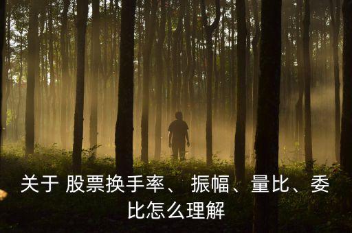 關(guān)于 股票換手率、 振幅、量比、委比怎么理解