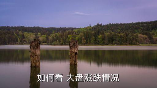 如何看 大盤漲跌情況