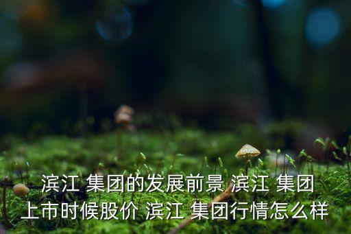濱江集團(tuán)房子質(zhì)量如何,中山濱江一號(hào)房子質(zhì)量怎么樣