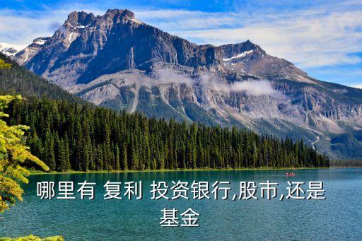 復(fù)利式投資平臺(tái),100萬的復(fù)利表