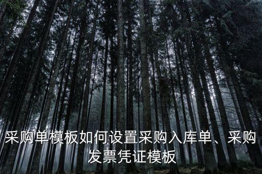 采購(gòu)單模板如何設(shè)置采購(gòu)入庫(kù)單、采購(gòu) 發(fā)票憑證模板