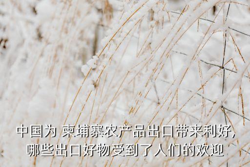 柬埔寨中國(guó)貿(mào)易額,2022年中國(guó)與柬埔寨貿(mào)易額