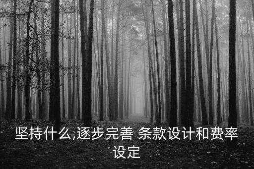 堅持什么,逐步完善 條款設(shè)計和費率設(shè)定