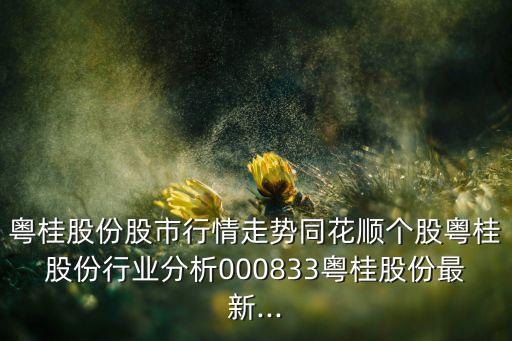 廣西未來上市公司