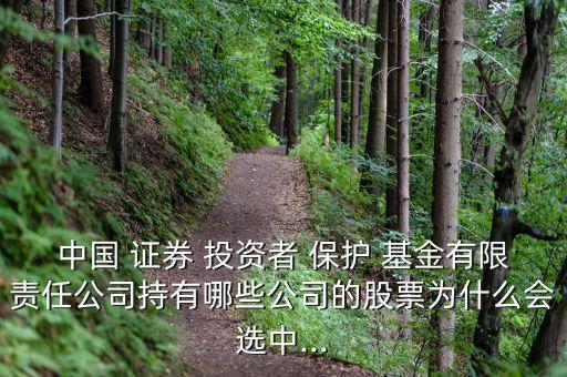 中國 證券 投資者 保護 基金有限責任公司持有哪些公司的股票為什么會選中...