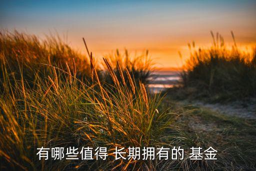 有哪些值得 長(zhǎng)期擁有的 基金