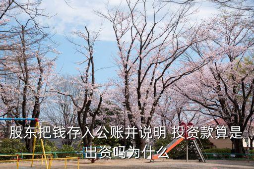股東把錢(qián)存入公賬并說(shuō)明 投資款算是出資嗎為什么
