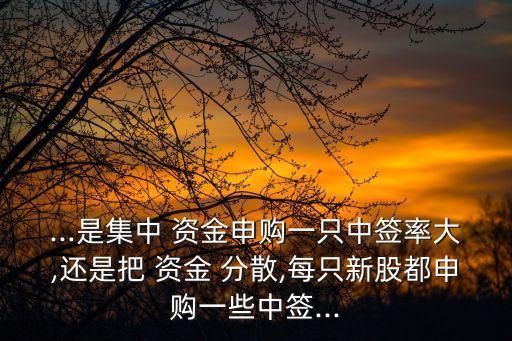 ...是集中 資金申購一只中簽率大,還是把 資金 分散,每只新股都申購一些中簽...