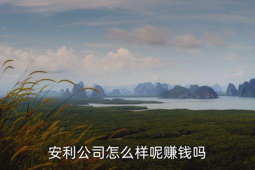 2015年安利中國(guó)營(yíng)業(yè)額