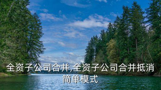 兩個(gè)全資子公司合并,全資子公司合并抵消簡(jiǎn)單模式