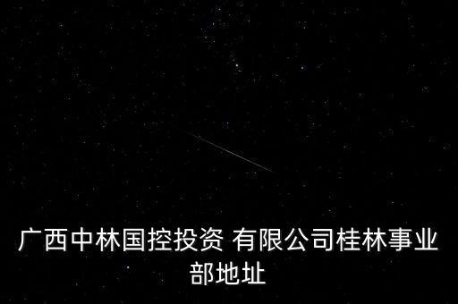 廣西中林國控投資 有限公司桂林事業(yè)部地址