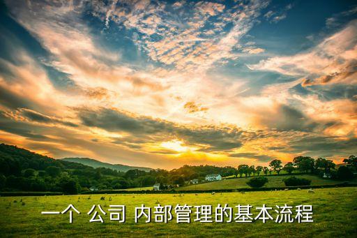 公司內(nèi)部交易規(guī)范,母子公司內(nèi)部交易
