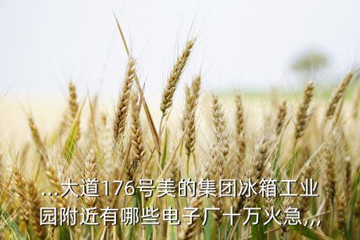 ...大道176號(hào)美的集團(tuán)冰箱工業(yè)園附近有哪些電子廠十萬火急,,,