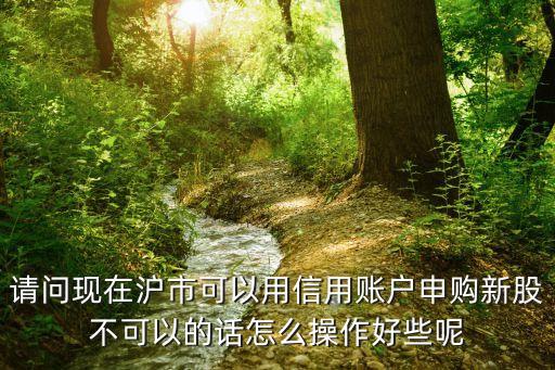 請(qǐng)問現(xiàn)在滬市可以用信用賬戶申購新股不可以的話怎么操作好些呢