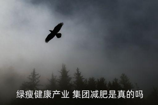 綠瘦集團有限公司,綠瘦健康產(chǎn)業(yè)集團有限公司武漢總部