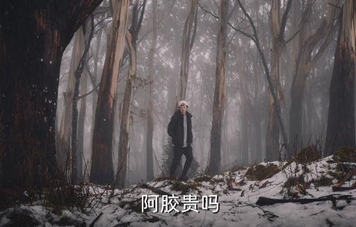 東阿阿膠集團(tuán)年報(bào)