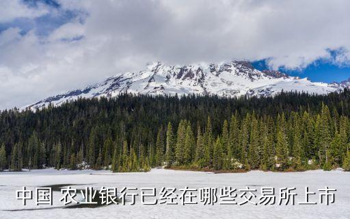 中國(guó) 農(nóng)業(yè)銀行已經(jīng)在哪些交易所上市