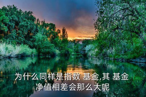 為什么同樣是指數(shù) 基金,其 基金 凈值相差會那么大呢