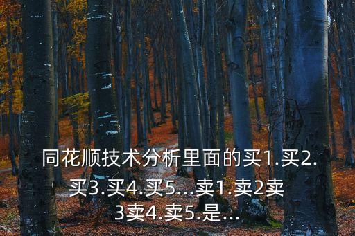  同花順技術(shù)分析里面的買1.買2.買3.買4.買5...賣1.賣2賣3賣4.賣5.是...
