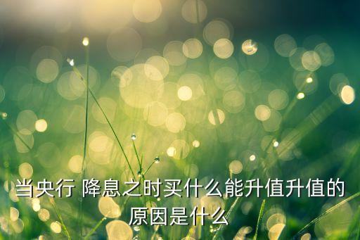 當(dāng)央行 降息之時買什么能升值升值的原因是什么