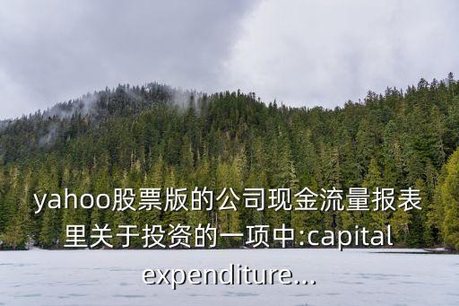 雅虎公司的英文資產(chǎn)負債表