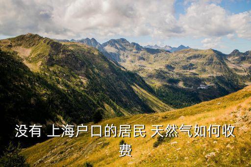 上海天然氣定價(jià)規(guī)定,中國天然氣定價(jià)模式