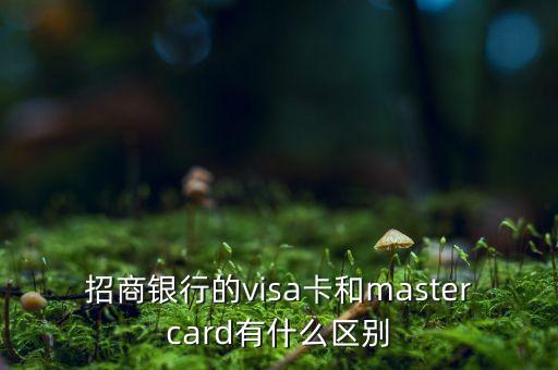 招商銀行的visa卡和mastercard有什么區(qū)別