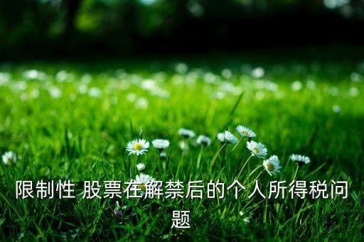 限售股和股票期權(quán)