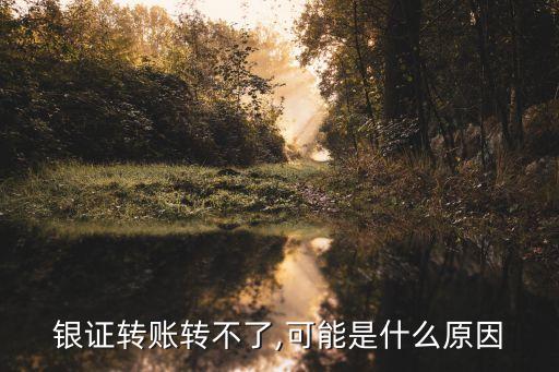 銀證轉(zhuǎn)賬轉(zhuǎn)不了,可能是什么原因