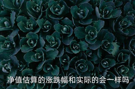  凈值估算的漲跌幅和實際的會一樣嗎