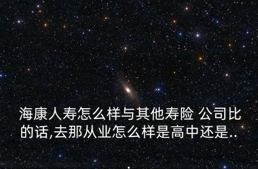 海康人壽保險公司2012年報表