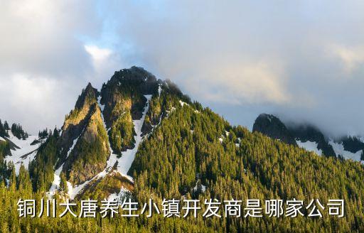 銅川大唐養(yǎng)生小鎮(zhèn)開發(fā)商是哪家公司