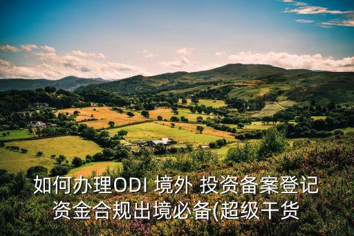 境外投資商務(wù)部批準(zhǔn),商務(wù)部境外投資備案表