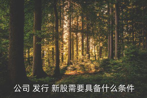 公司公開發(fā)行新股,上市公司公開發(fā)行新股