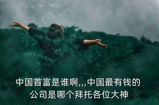 中國首富是誰啊,,,中國最有錢的 公司是哪個拜托各位大神