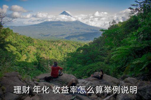 理財(cái) 年化 收益率怎么算舉例說明
