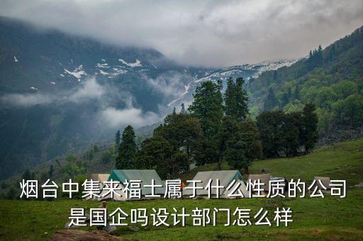  煙臺中集來福士屬于什么性質的公司是國企嗎設計部門怎么樣