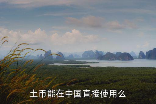 土庫曼斯坦的錢在中國那里能對