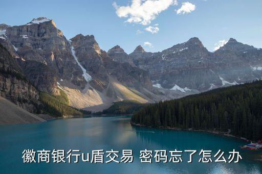  徽商銀行u盾交易 密碼忘了怎么辦